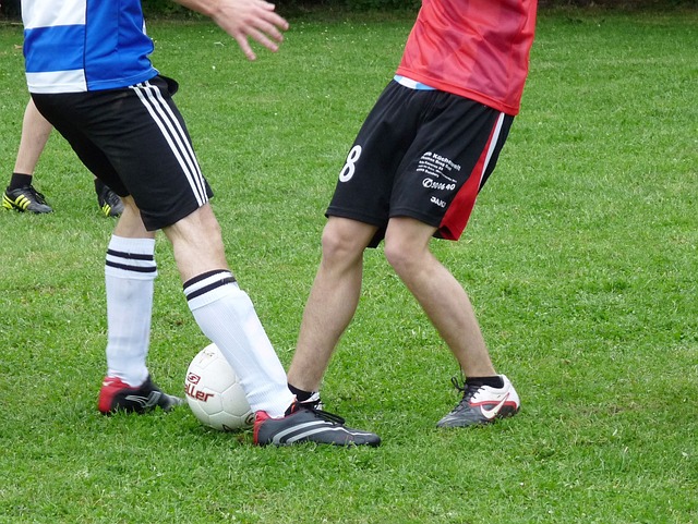 国外执教对 国外执教对