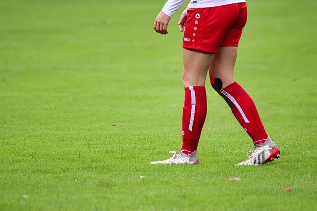 尤为重要 尤为重要