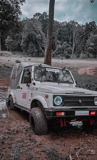 [网球]翻篇向前看 德约抵达卡塔尔参加多哈公开赛.