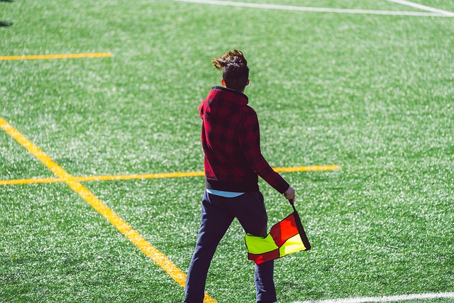 德国近年来 德国近年来