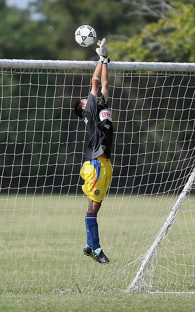 他的回归为 他的回归为