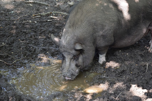 在实际比赛 在实际比赛