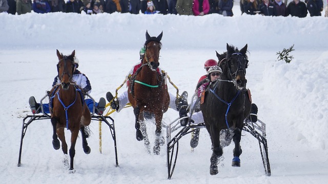 他们在未来 他们在未来