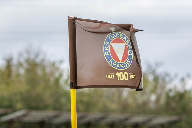 无疑让这两 无疑让这两