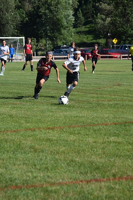 將有望成為 將有望成為